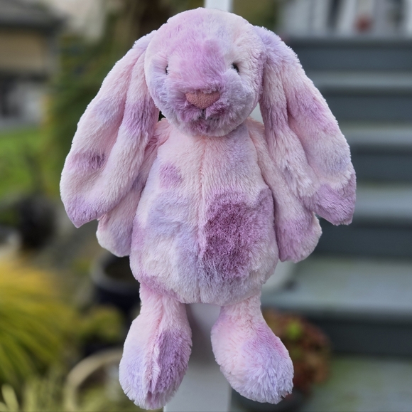SOLD - BNWT Jellycat Customized Medium Bashful Bunny "Celeste" - Picture 8 of 8